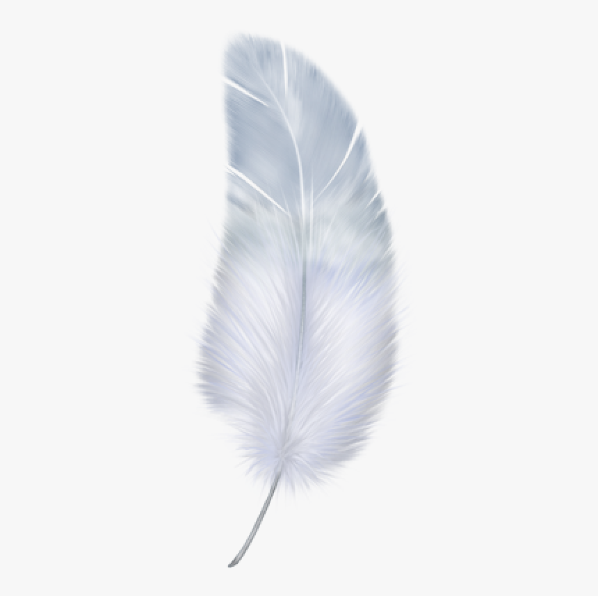 Feather With Transparent Background - KibrisPDR