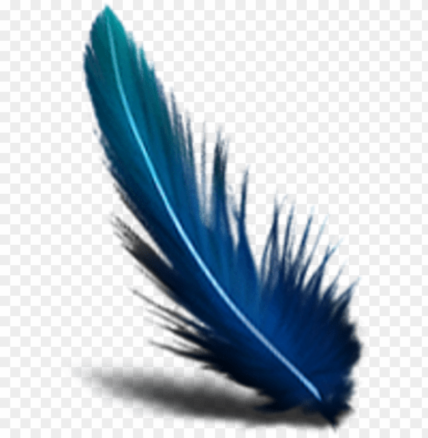 Detail Feather With Transparent Background Nomer 15