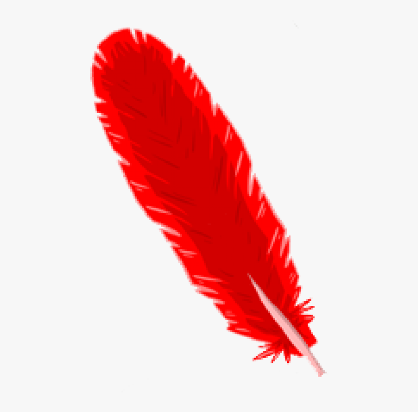 Detail Feather With Transparent Background Nomer 26