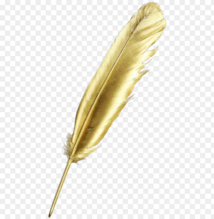 Detail Feather With Transparent Background Nomer 29