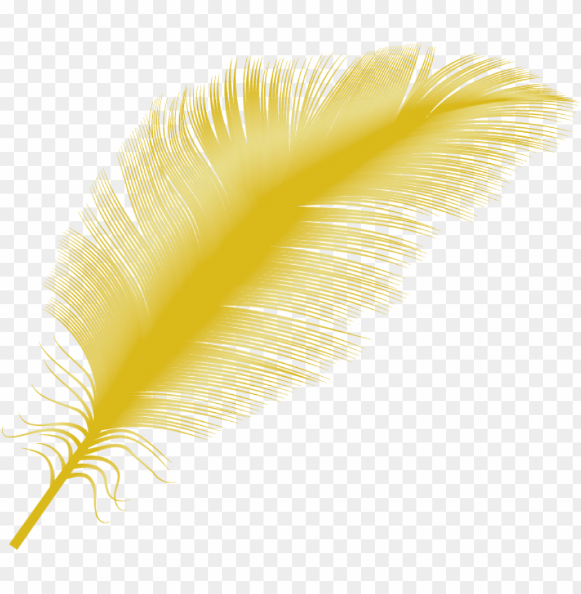 Detail Feather With Transparent Background Nomer 37