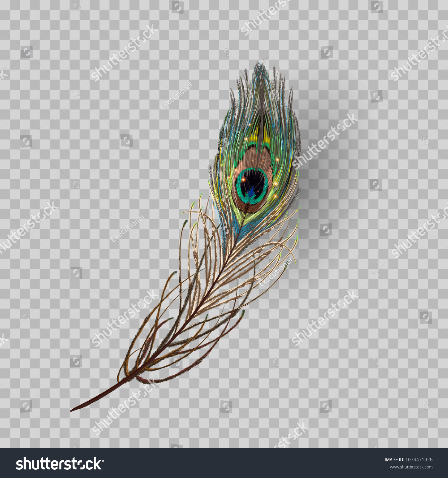 Detail Feather With Transparent Background Nomer 43