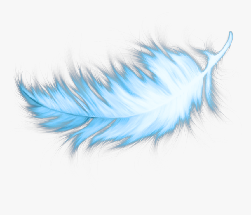 Detail Feather With Transparent Background Nomer 48