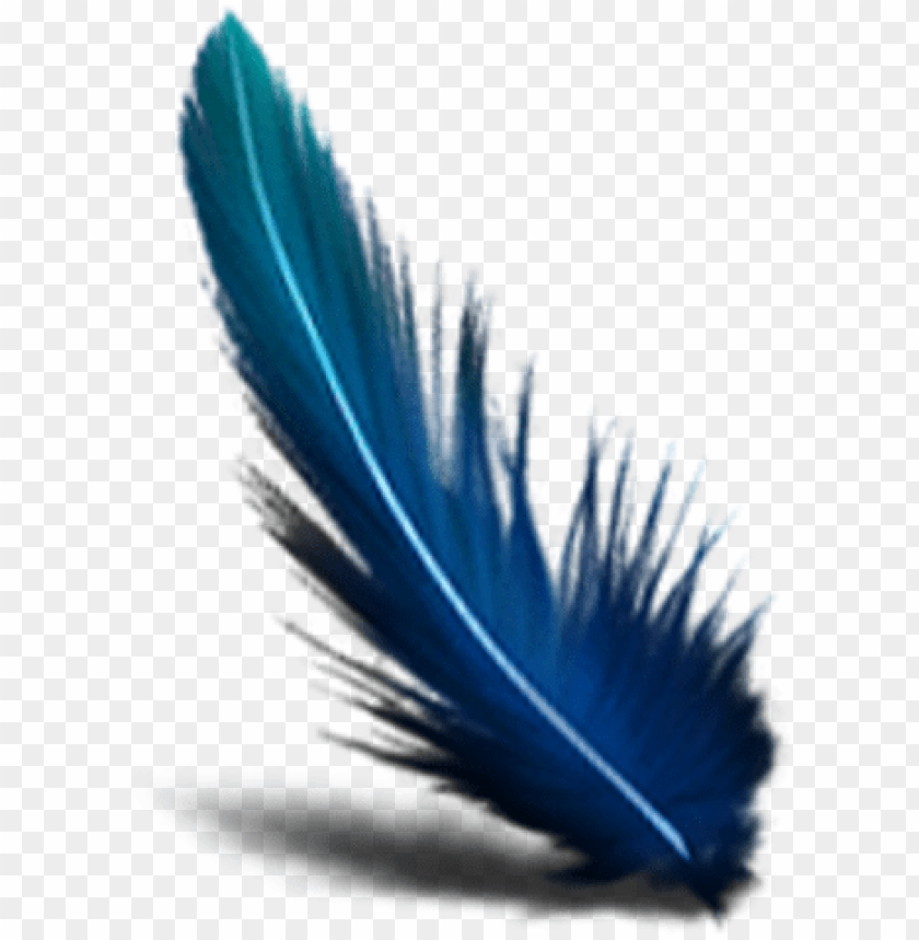 Detail Feathers Transparent Nomer 22