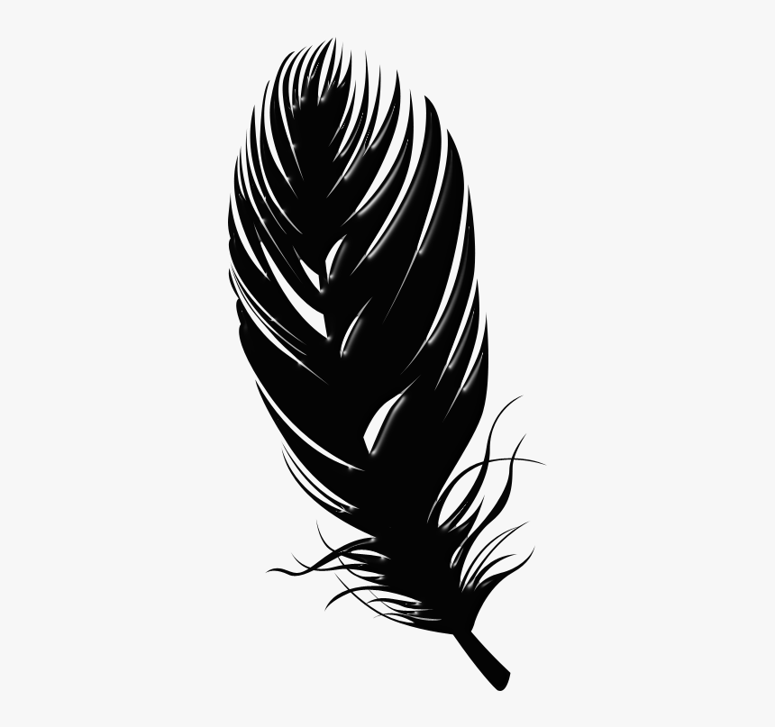Detail Feathers Transparent Background Nomer 11