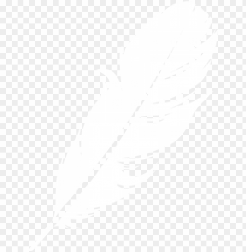 Detail Feathers Transparent Background Nomer 32