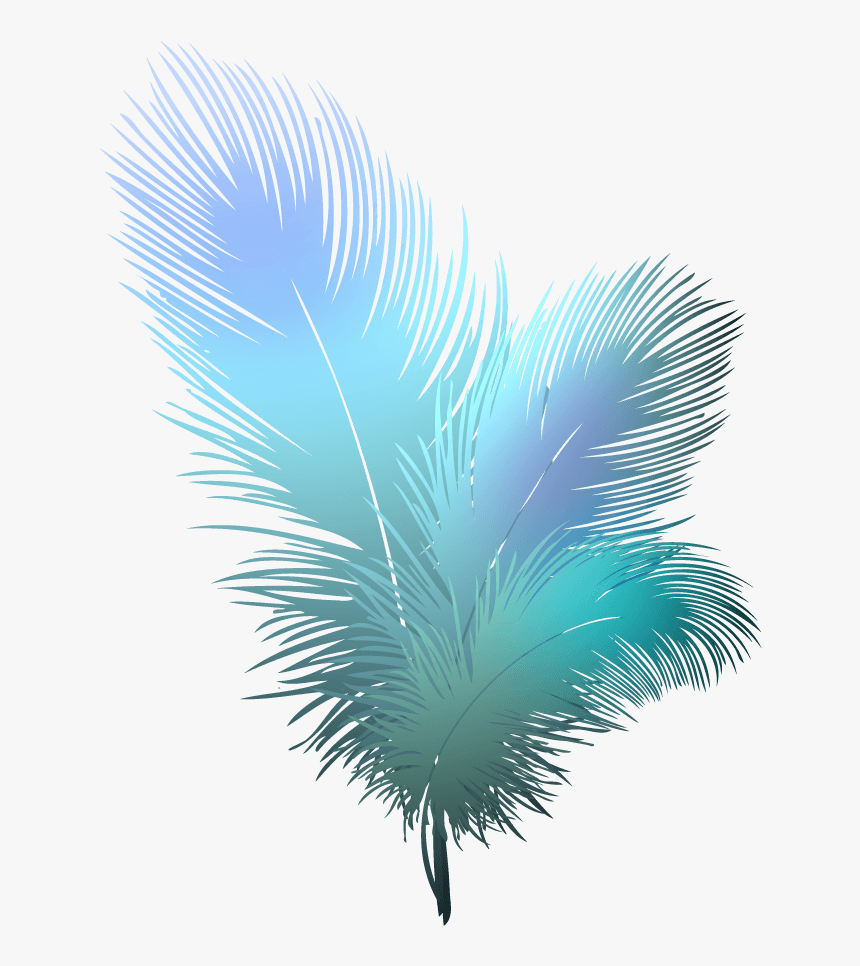 Detail Feathers Transparent Background Nomer 36