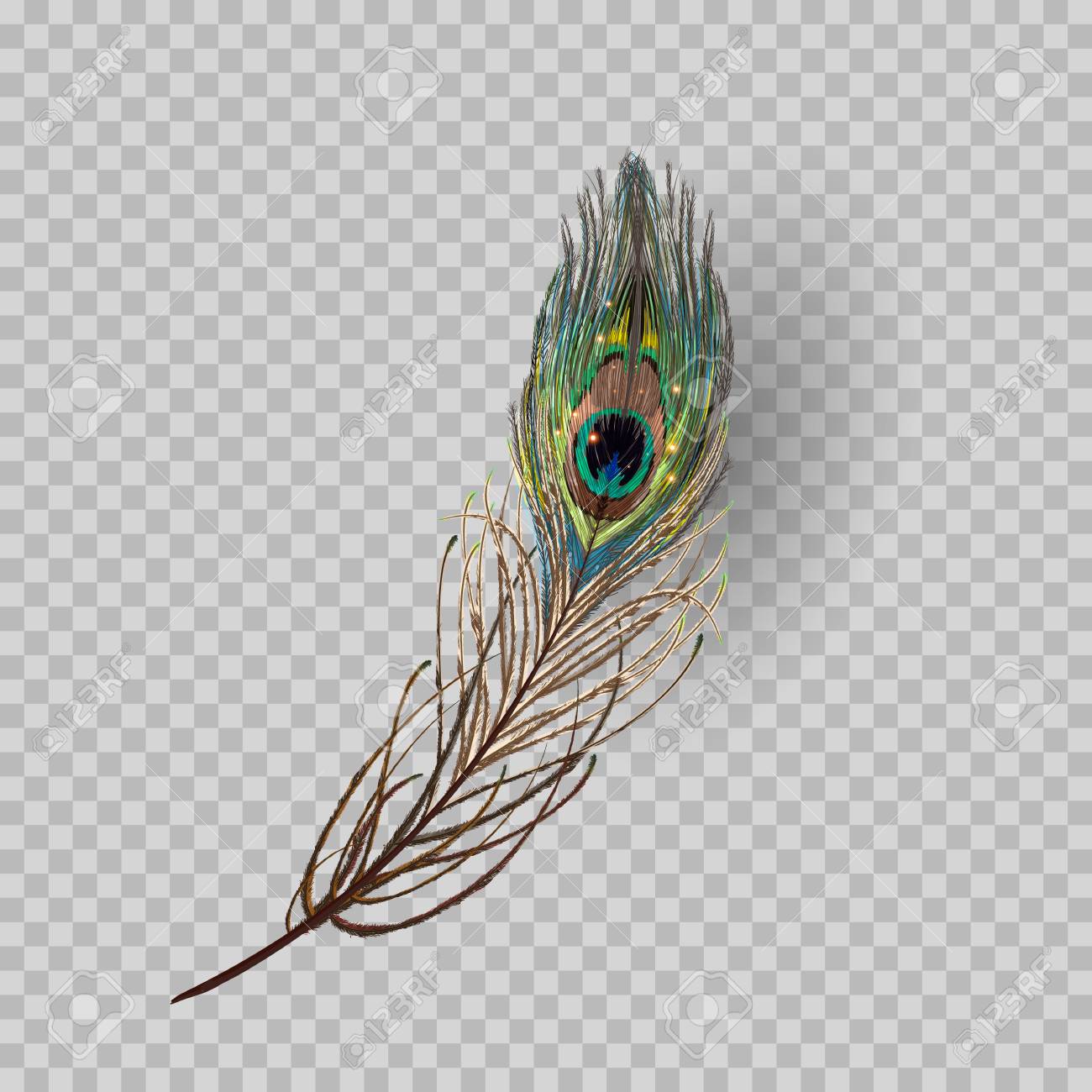 Detail Feathers Transparent Background Nomer 41