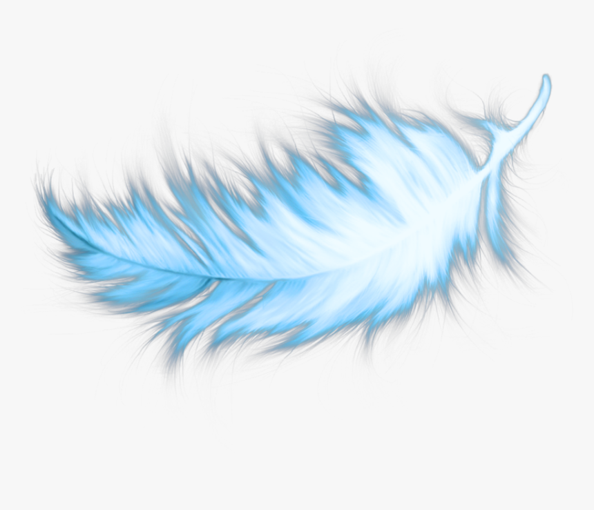 Detail Feathers Transparent Background Nomer 50