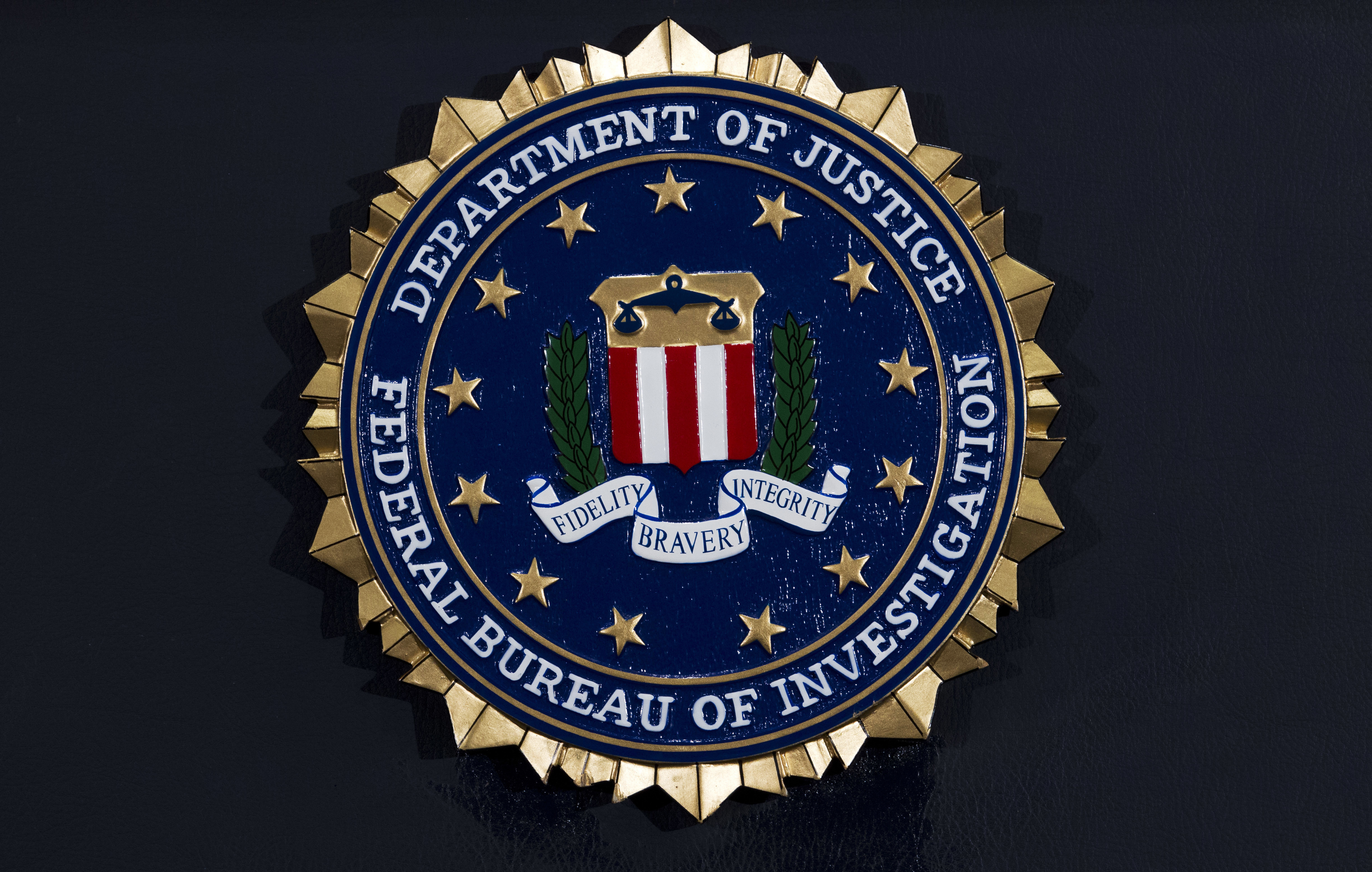 Detail Federal Bureau Of Investigation Logo Nomer 6