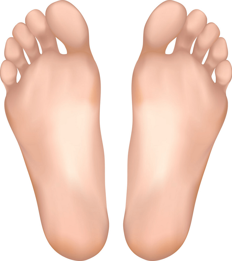 Detail Feet Png Nomer 22