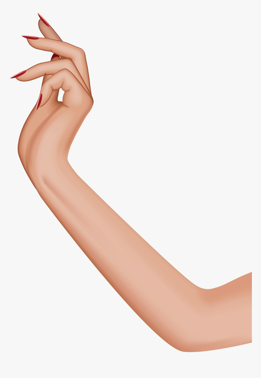 Detail Female Hand Png Nomer 4