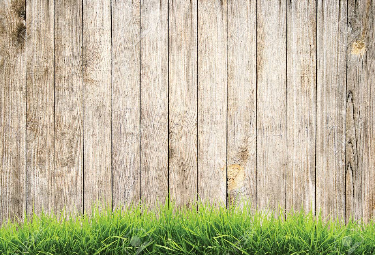 Detail Fence Background Images Nomer 2