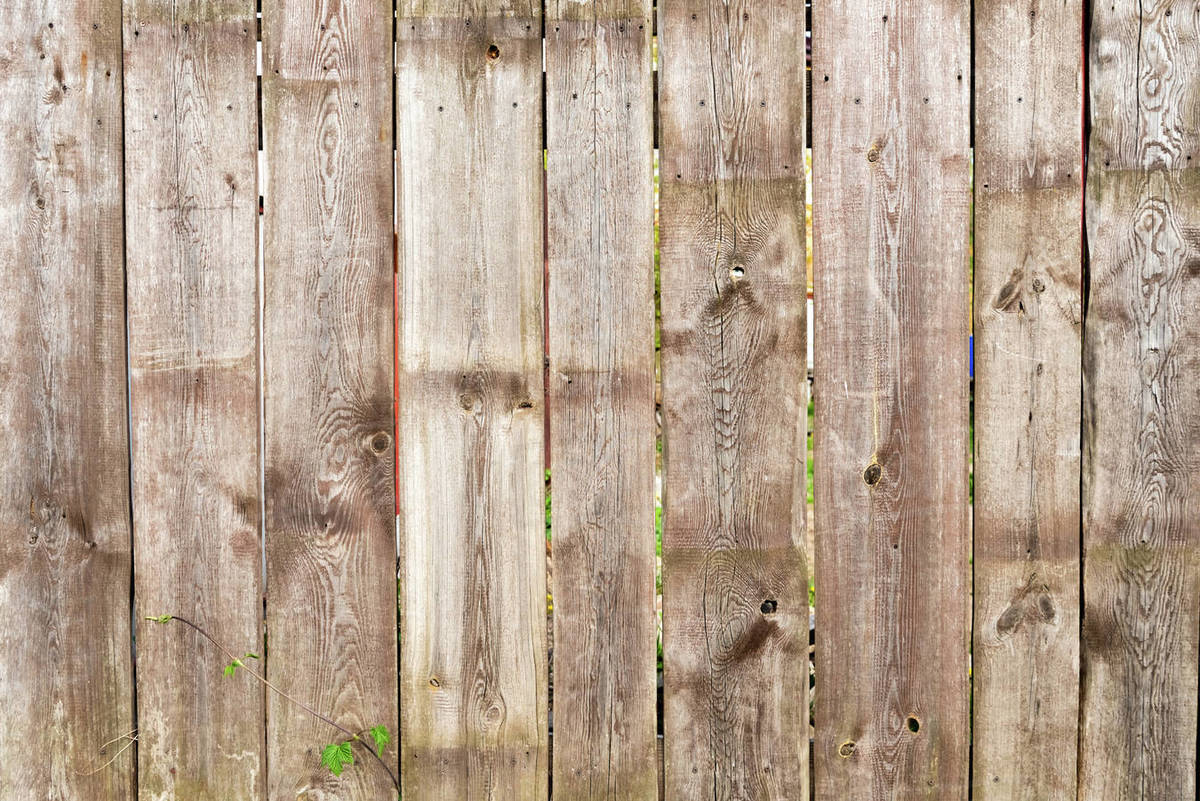 Detail Fence Background Images Nomer 11