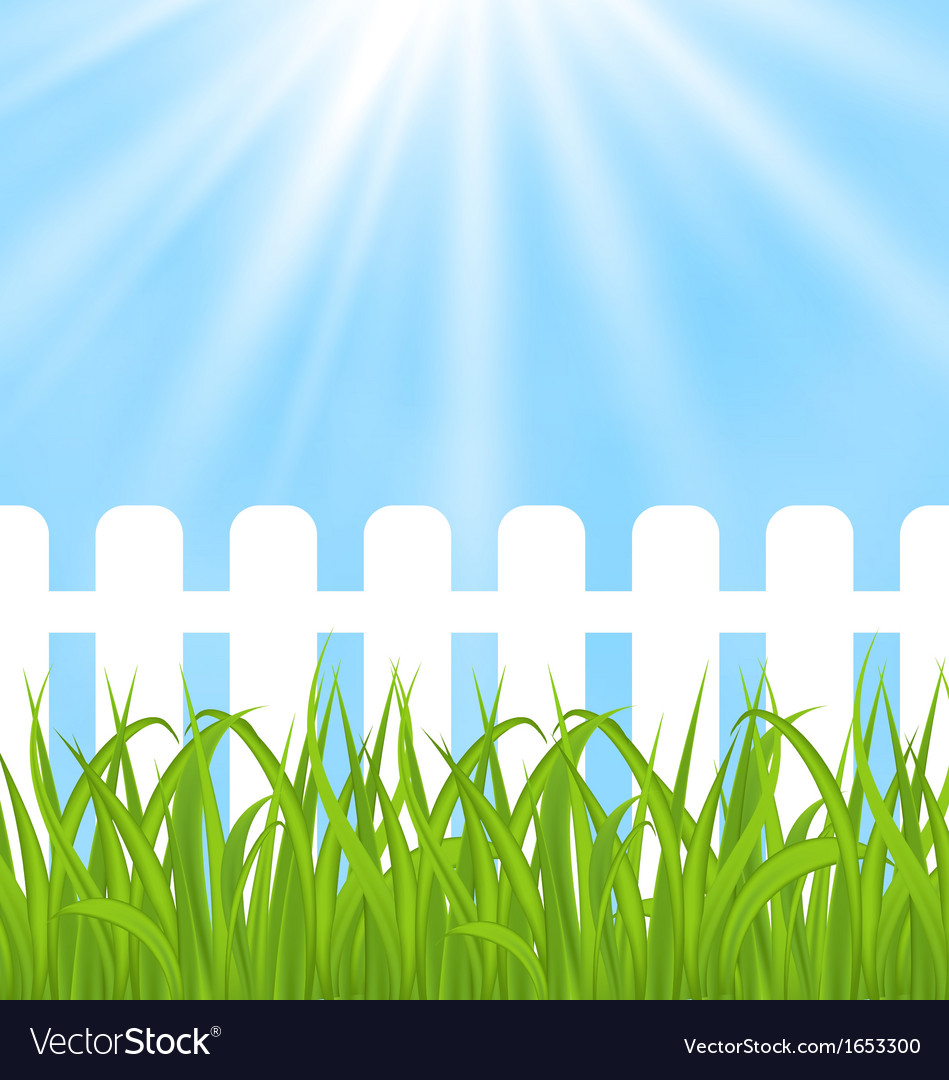 Detail Fence Background Images Nomer 24