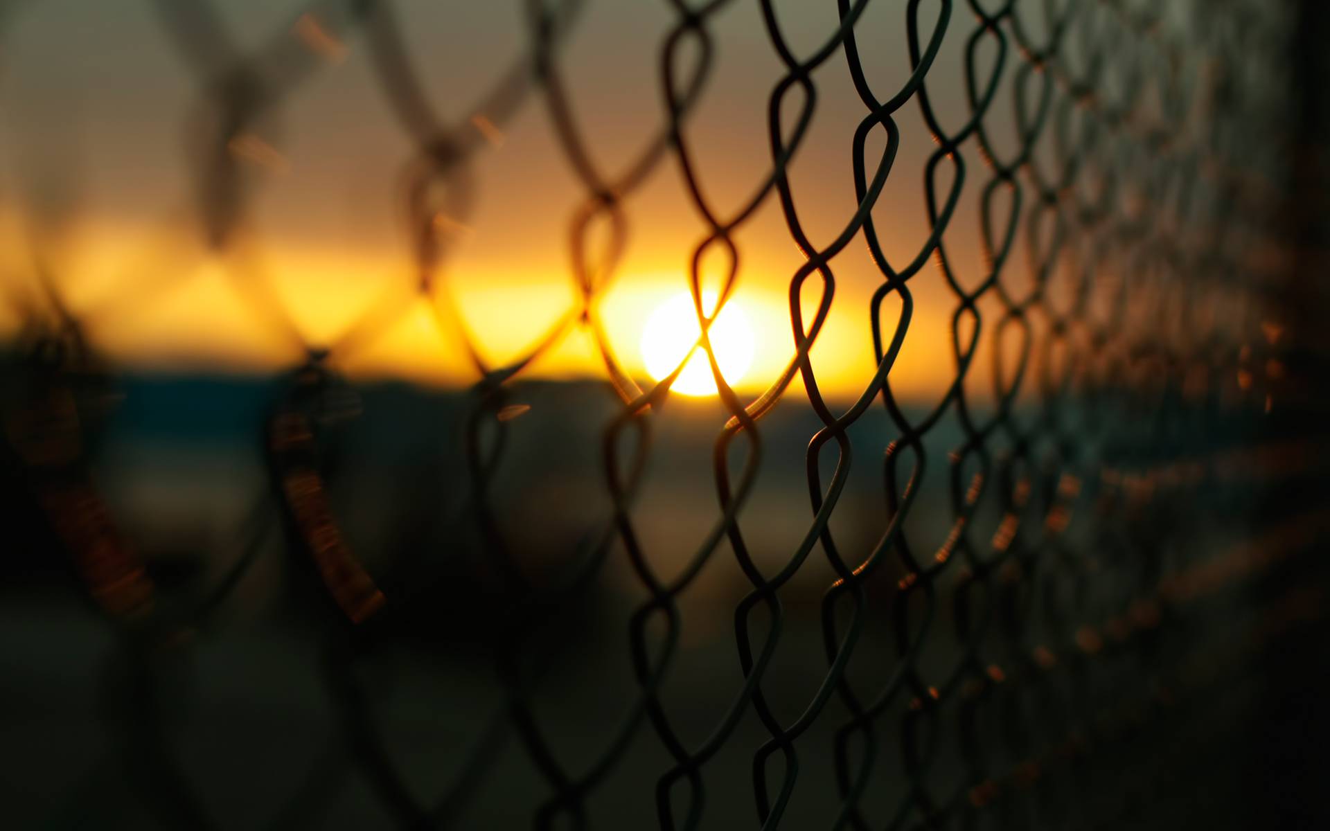 Detail Fence Background Images Nomer 28