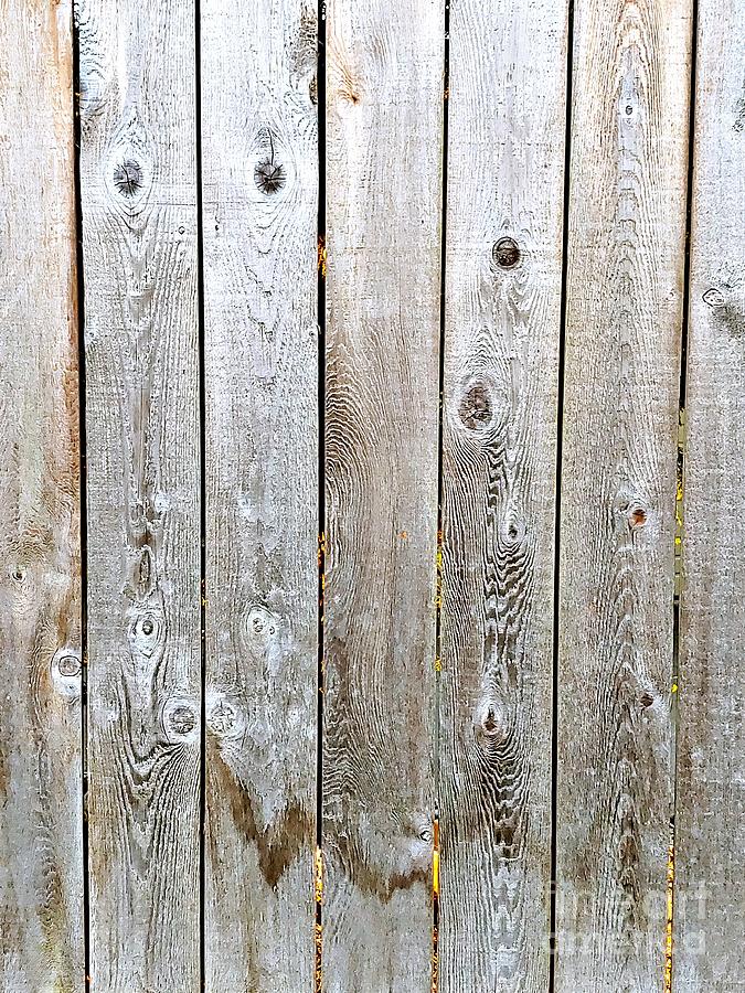 Detail Fence Background Images Nomer 29