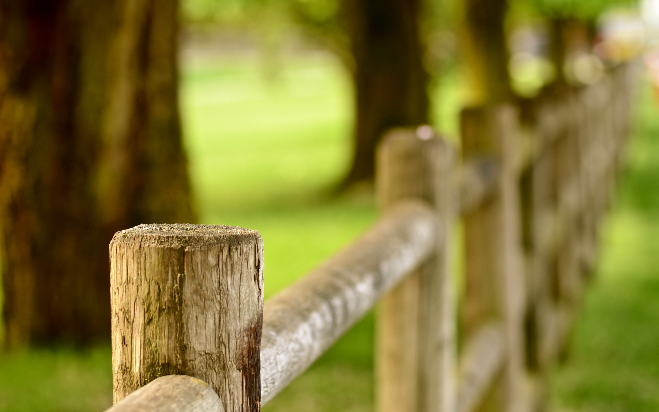 Detail Fence Background Images Nomer 38