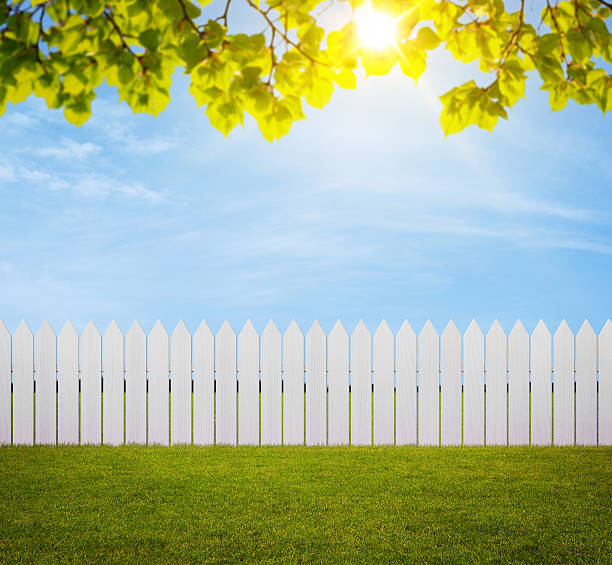 Detail Fence Background Images Nomer 39