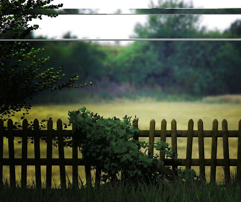 Detail Fence Background Images Nomer 41