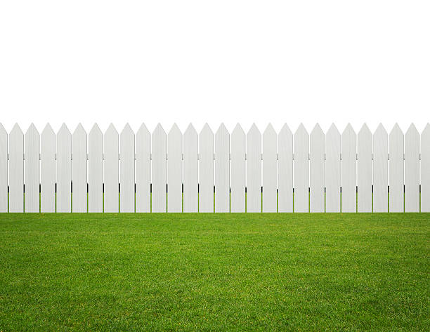 Detail Fence Background Images Nomer 49