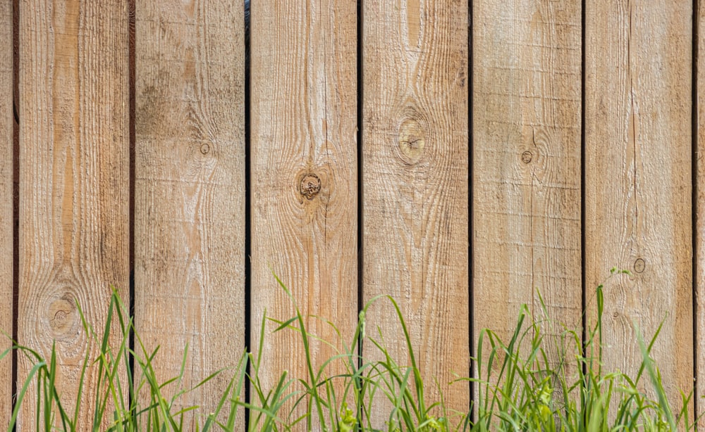Detail Fence Background Images Nomer 7