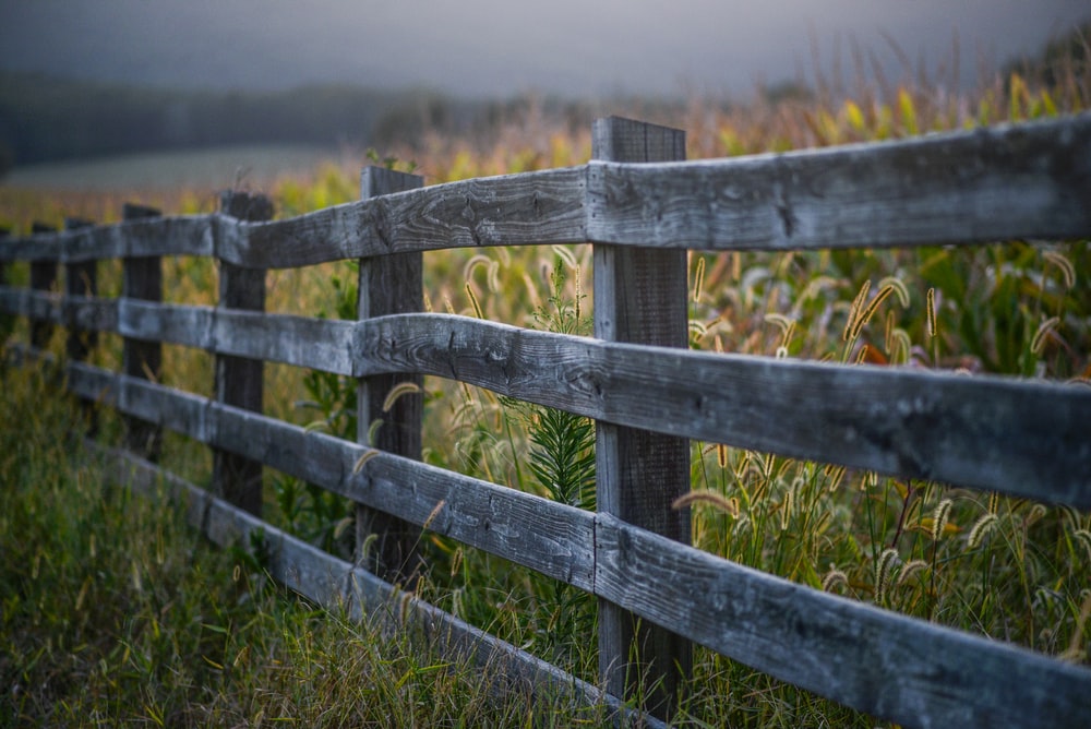 Detail Fence Images Nomer 33