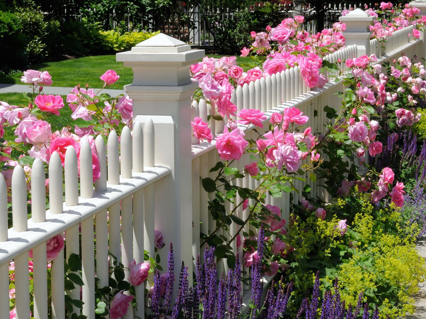 Detail Fence Images Nomer 37