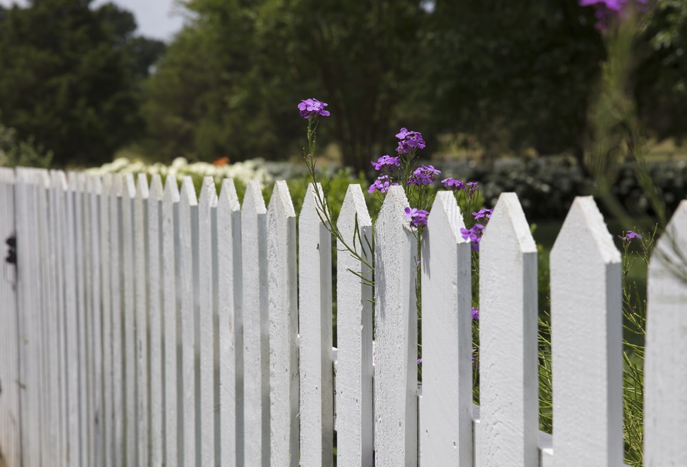 Detail Fence Images Nomer 6