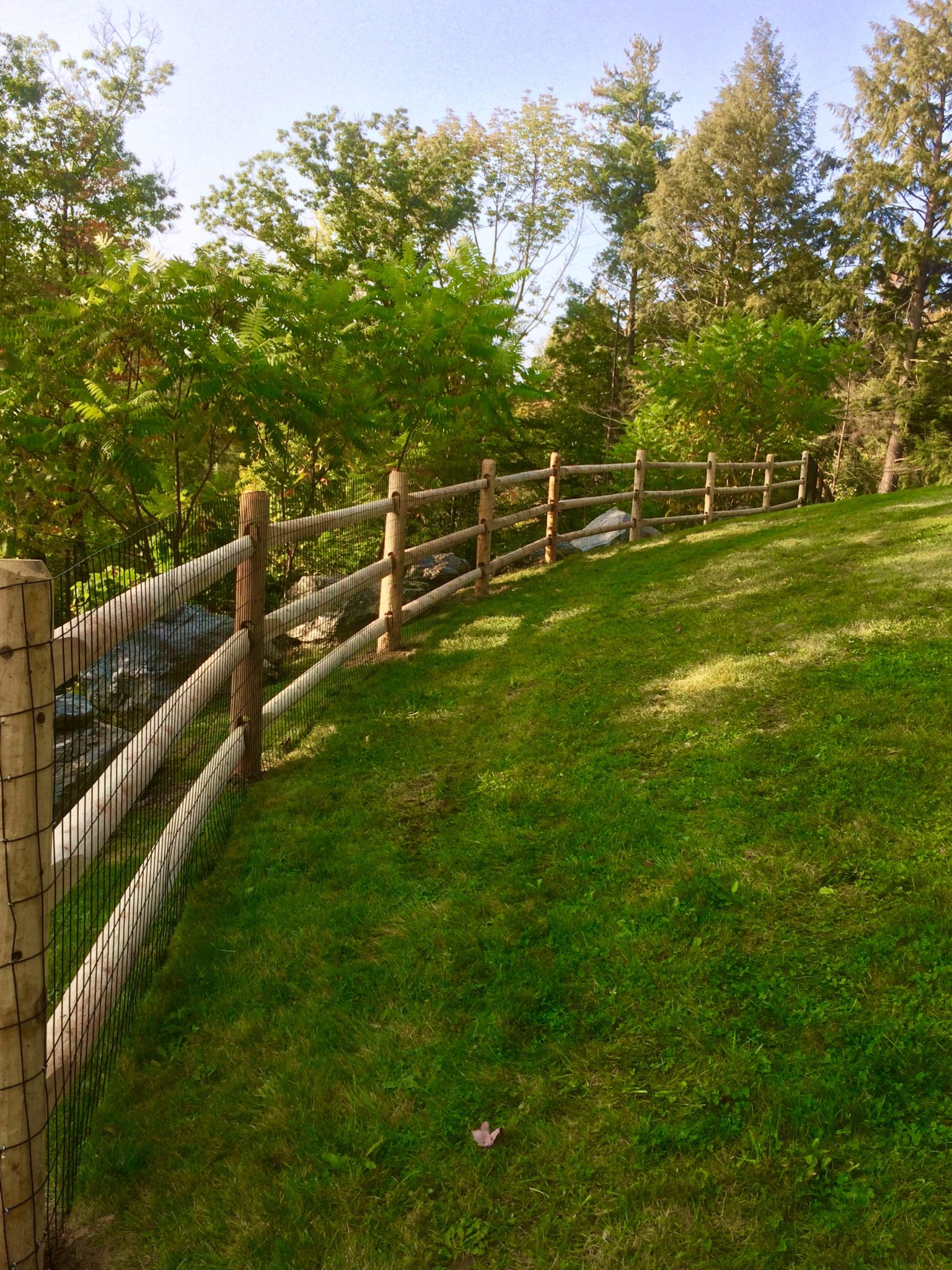 Detail Fence Images Nomer 49