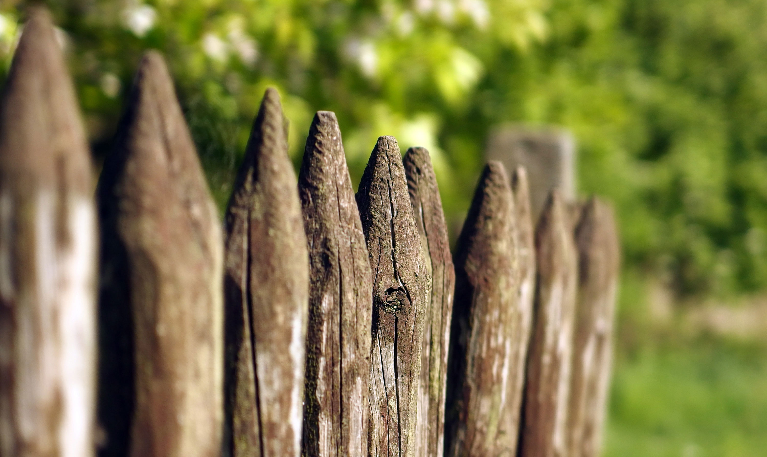 Detail Fence Images Free Nomer 12