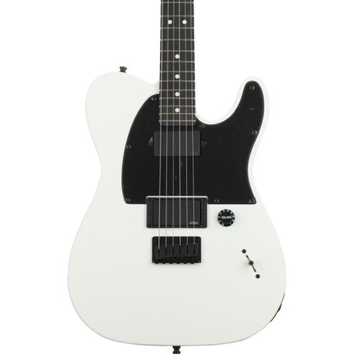 Detail Fender Jim Root Telecaster Nomer 2