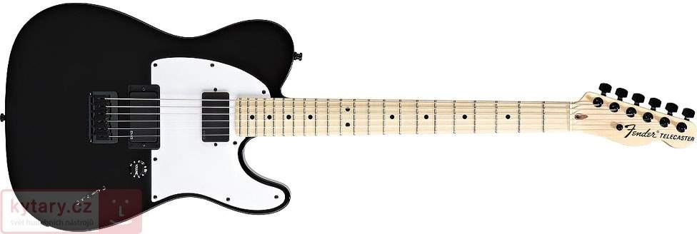 Detail Fender Jim Root Telecaster Nomer 13