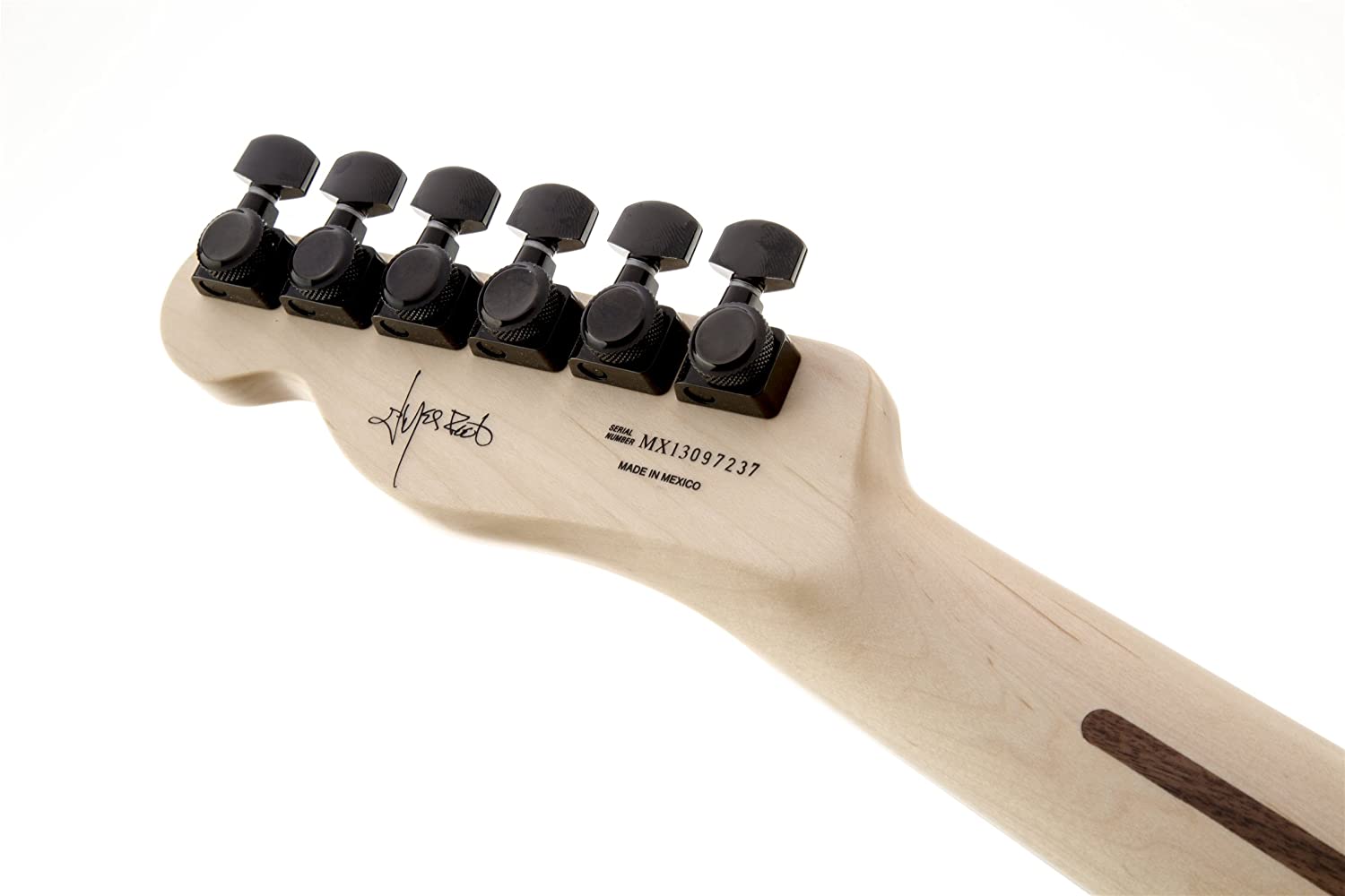 Detail Fender Jim Root Telecaster Nomer 17