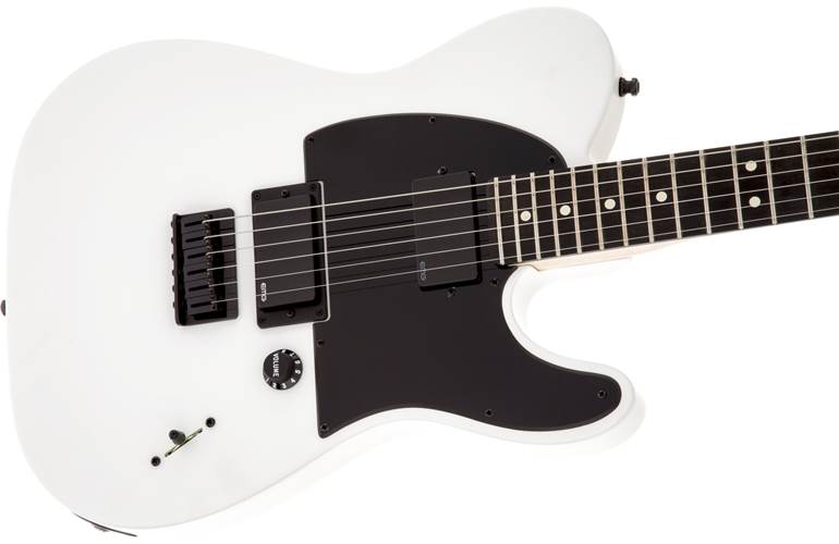 Detail Fender Jim Root Telecaster Nomer 29