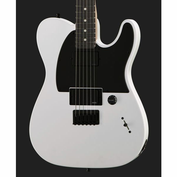 Detail Fender Jim Root Telecaster Nomer 8