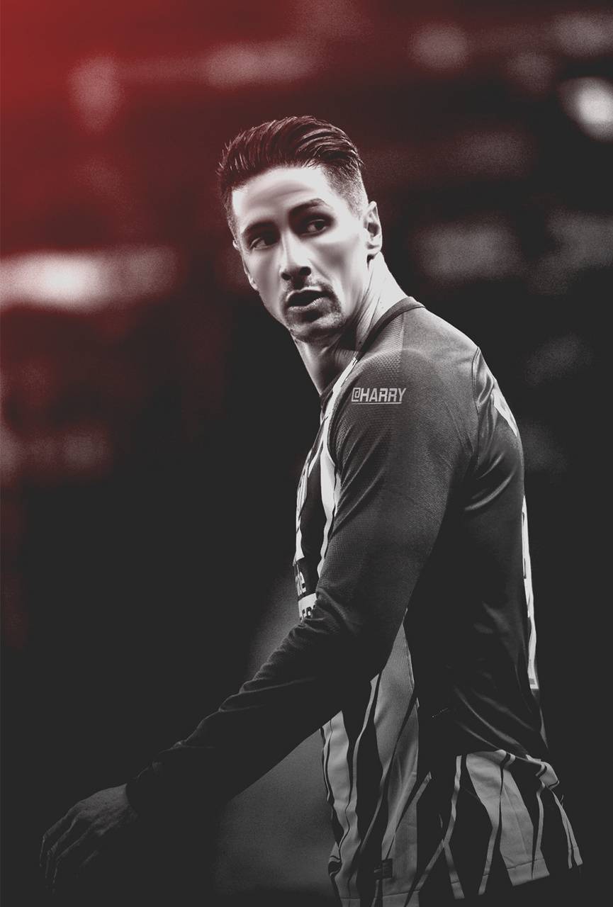 Detail Fernando Torres Wallpaper Nomer 40