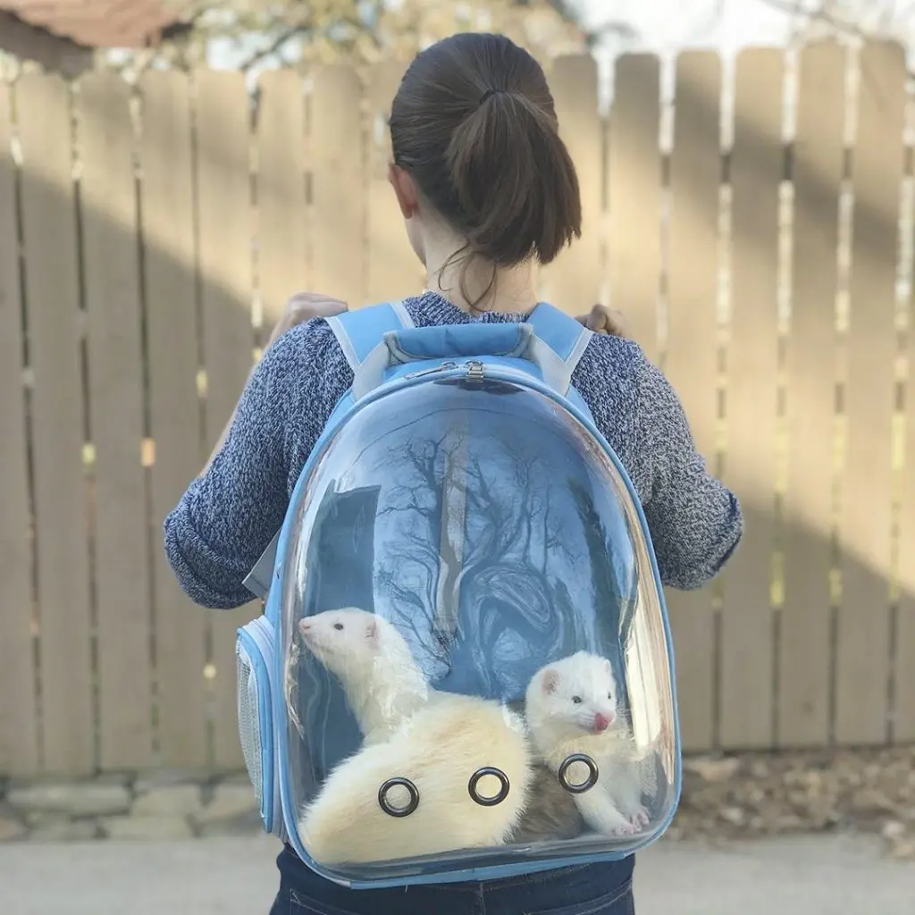 Ferret Backpack - KibrisPDR