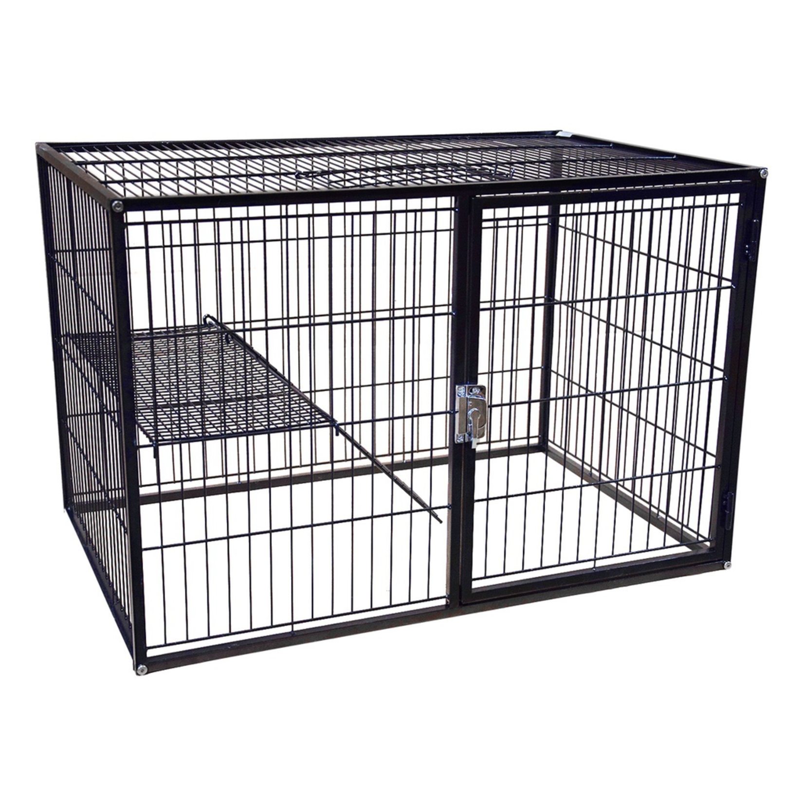 Detail Ferret Cage Ladder Nomer 40