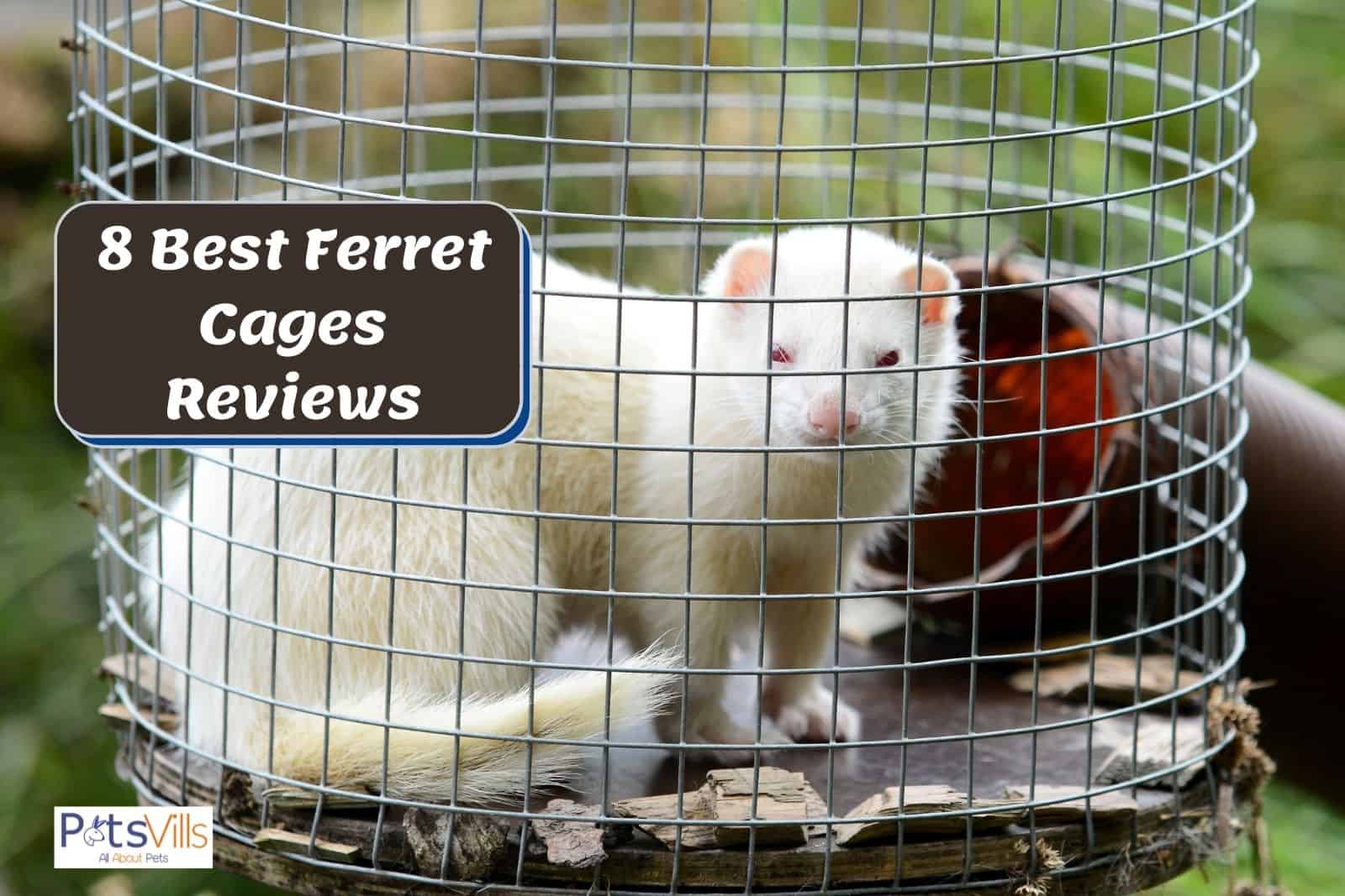 Detail Ferret Cage Ladder Nomer 44