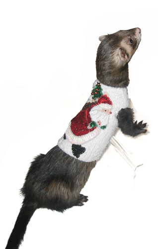 Detail Ferret Christmas Sweater Nomer 20