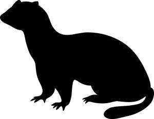 Detail Ferret Clipart Nomer 10