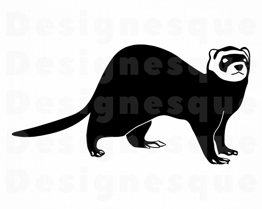 Detail Ferret Clipart Nomer 13