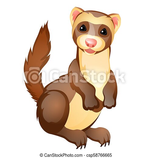 Detail Ferret Clipart Nomer 23