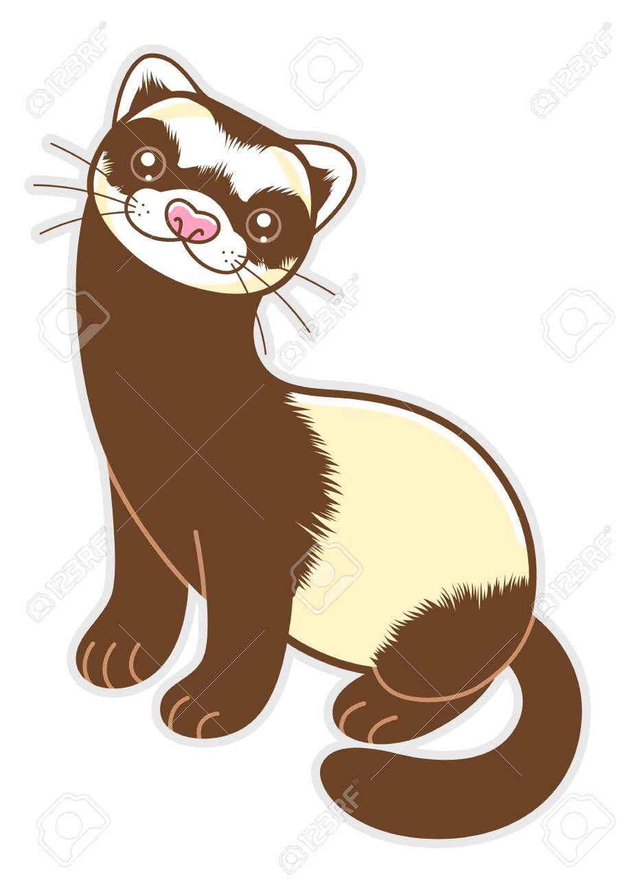 Detail Ferret Clipart Nomer 3