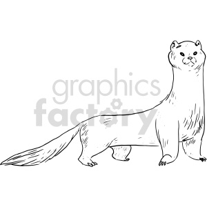 Detail Ferret Clipart Nomer 37