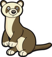 Detail Ferret Clipart Nomer 52