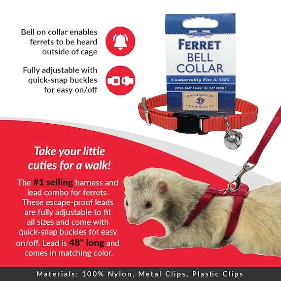 Detail Ferret Collars With Bells Nomer 27