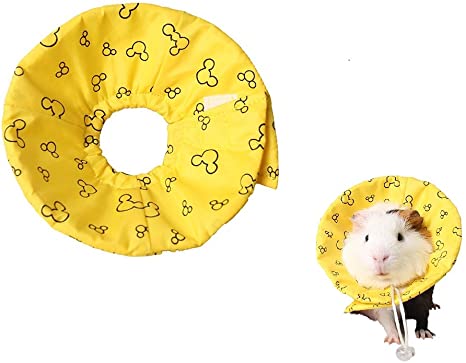 Detail Ferret Cone Nomer 9