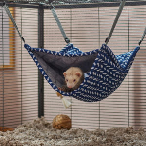 Detail Ferret Cube Hammock Nomer 18